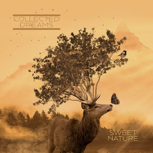 亚洲男同志在线观看
